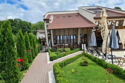 Medaless din Baia de Fier