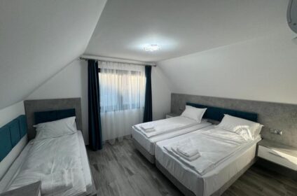 Pensiunea Giulia din Turda, lângă Salina Turda, cu camere spațioase, WiFi gratuit și acces facil la atracții turistice. Rezervați acum!